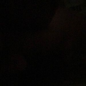 Meet your Posher, Amelia